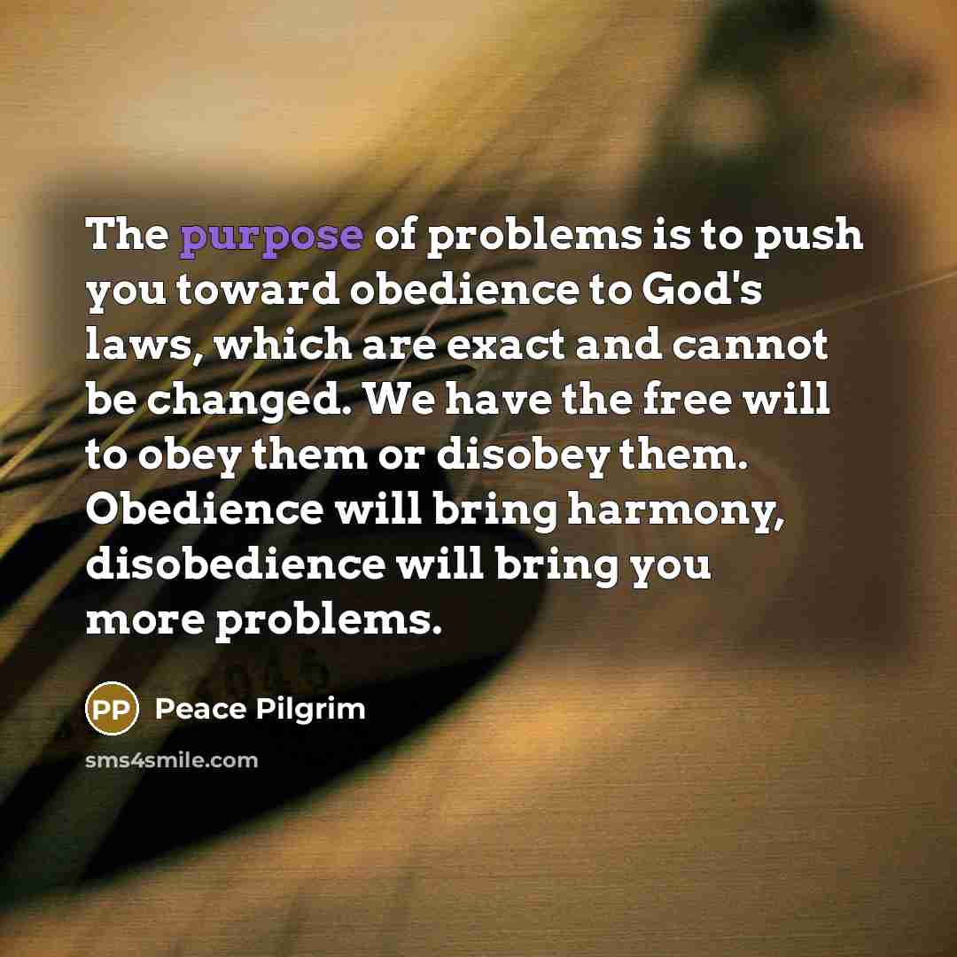 “The purpose of problems is to push you toward obedience…” quote by Peace Pilgrim