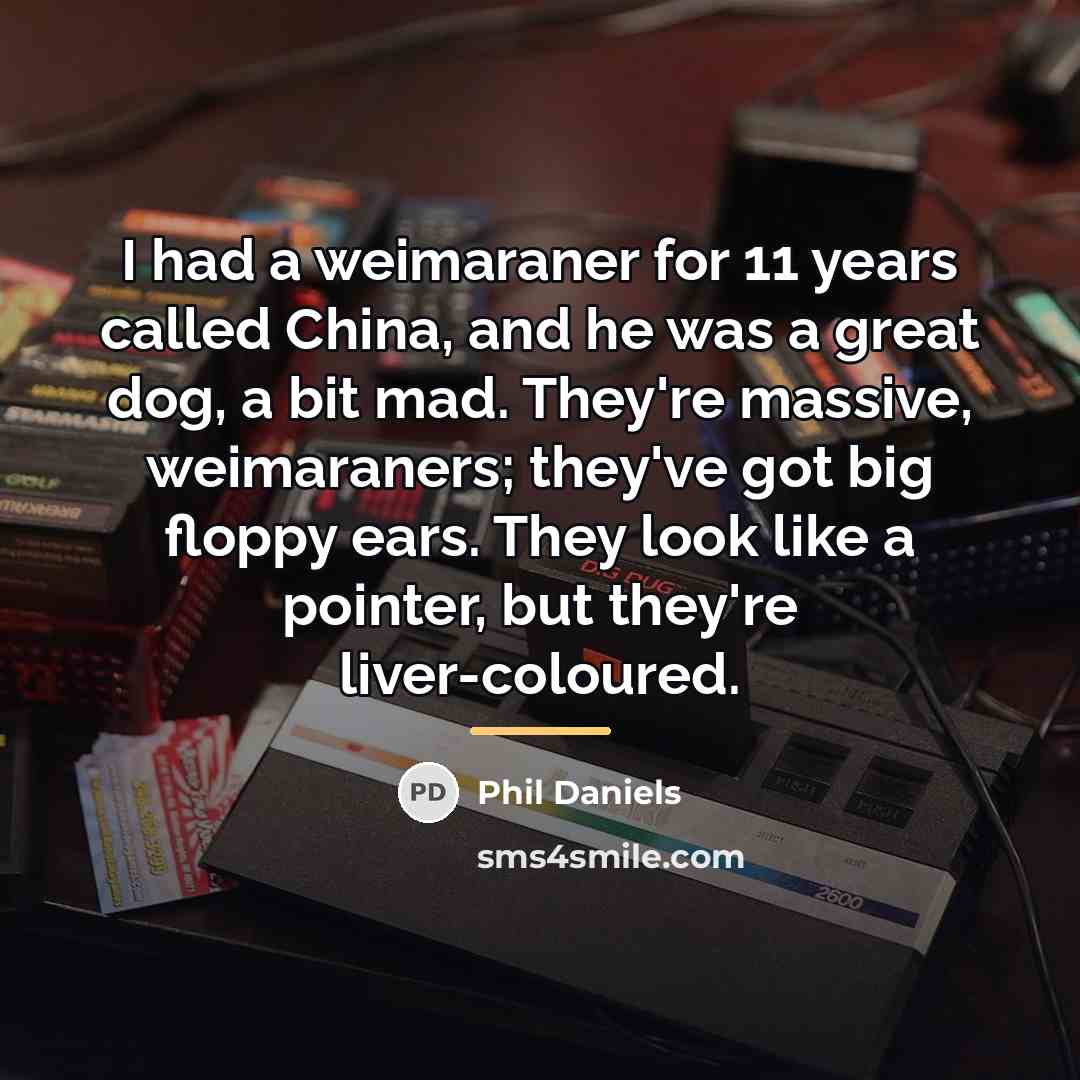 “I had a weimaraner for 11 years called China, and…” quote by Phil Daniels