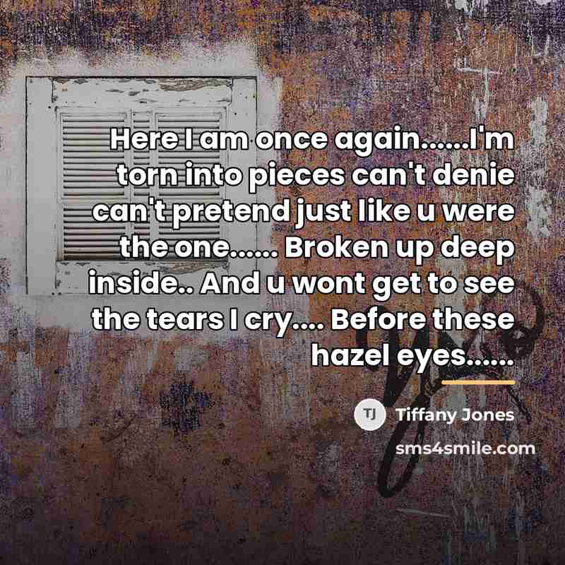 “Here I am once again......I'm torn into pieces can't denie…” quote by Tiffany Jones