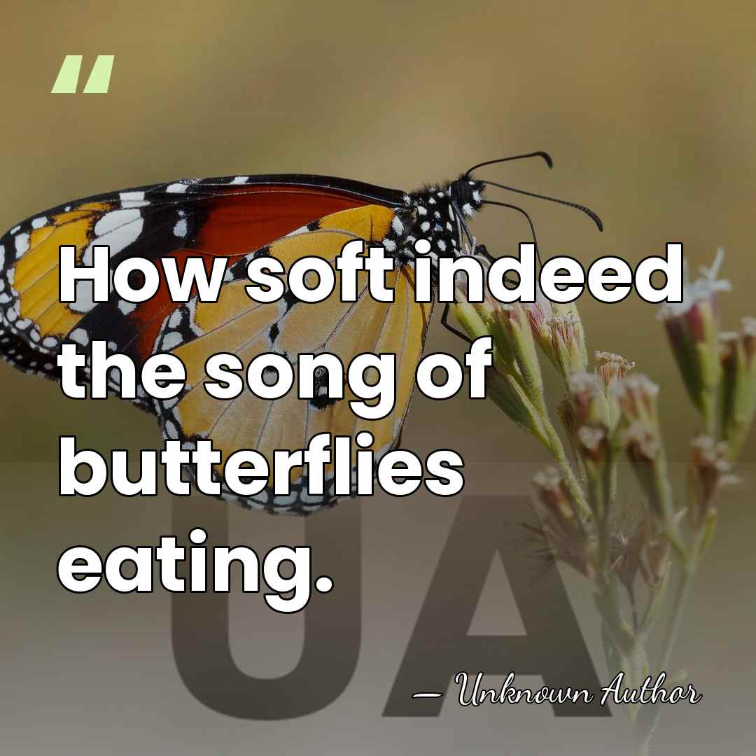 How soft indeed the song of butterflies eating. - Unknown Author