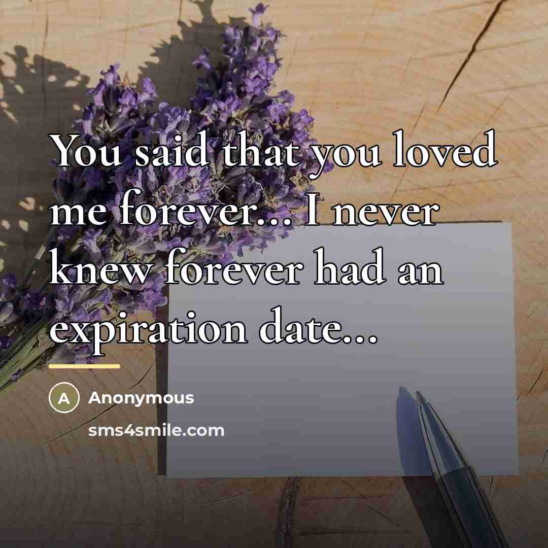 “You said that you loved me forever... I never knew…” quote by Anonymous