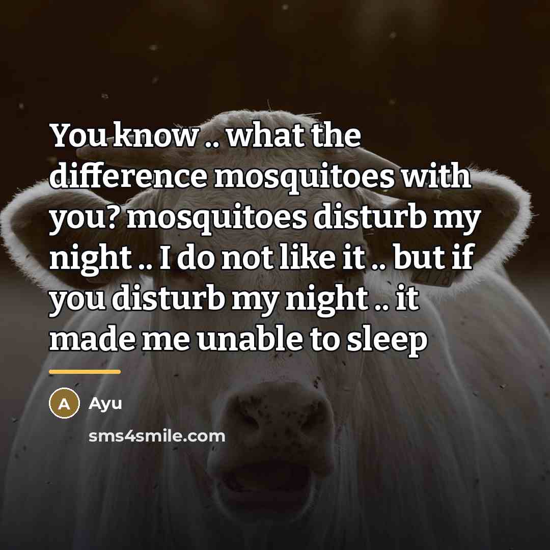 “You know .. what the difference mosquitoes with you? mosquitoes…” quote by Ayu
