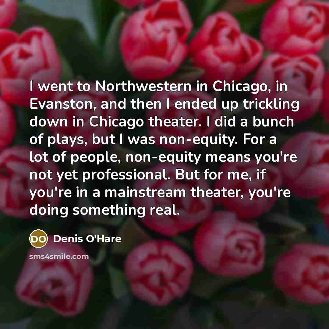 “I went to Northwestern in Chicago, in Evanston, and then…” quote by Denis O'Hare