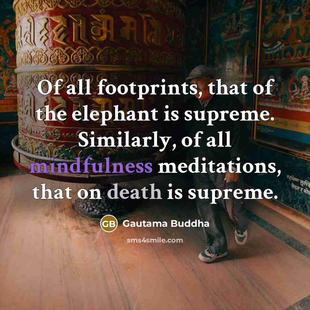 “Of all footprints, that of the elephant is supreme. Similarly,…” quote by Gautama Buddha