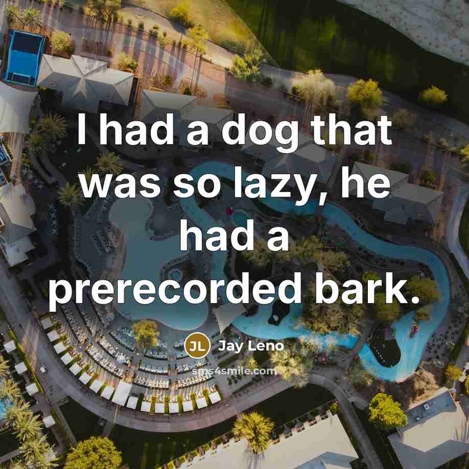 “I had a dog that was so lazy, he had…” quote by Jay Leno