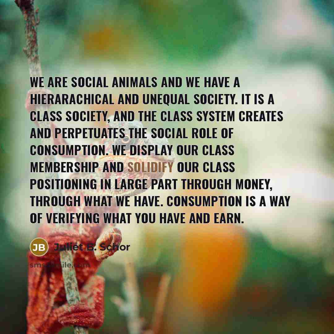 “We are social animals and we have a hierarachical and…” quote by Juliet B. Schor