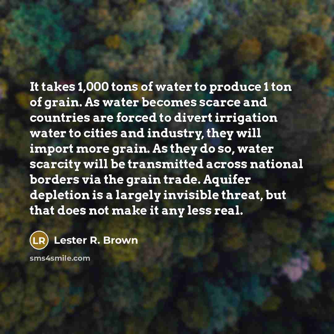 “It takes 1,000 tons of water to produce 1 ton…” quote by Lester R. Brown