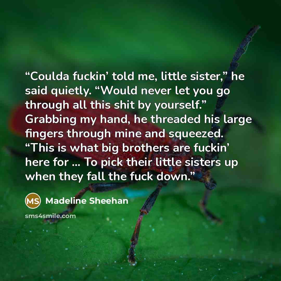 “Coulda fuckin’ told me, little sister,” he said quietly. “Would never let you go through all this shit by yourself.” Grabbing my hand, he threaded his large fingers through mine and squeezed. “This is what big brothers are fuckin’ here for … To pick their little sisters up when they fall the fuck…” quote by Madeline Sheehan