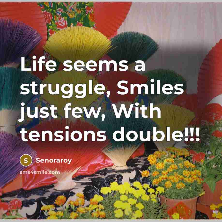 “Life seems a struggle, Smiles just few, With tensions double!!!…” quote by Senoraroy