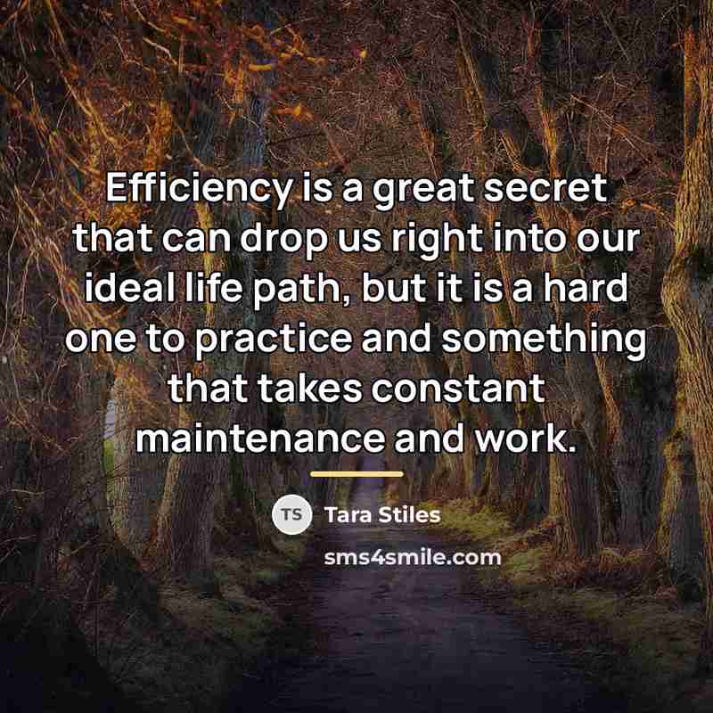“Efficiency is a great secret that can drop us right…” quote by Tara Stiles