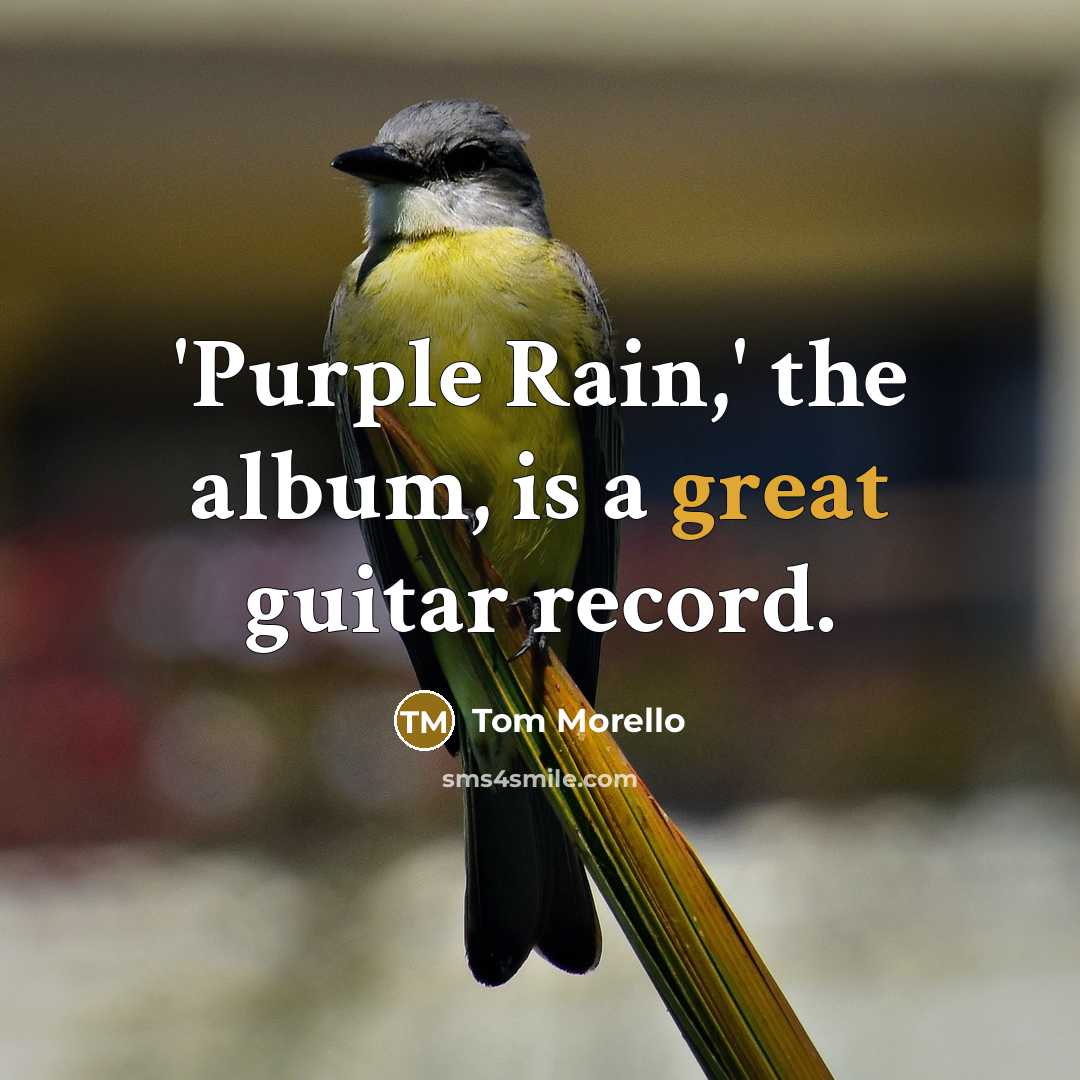 “'Purple Rain,' the album, is a great guitar record.…” quote by Tom Morello