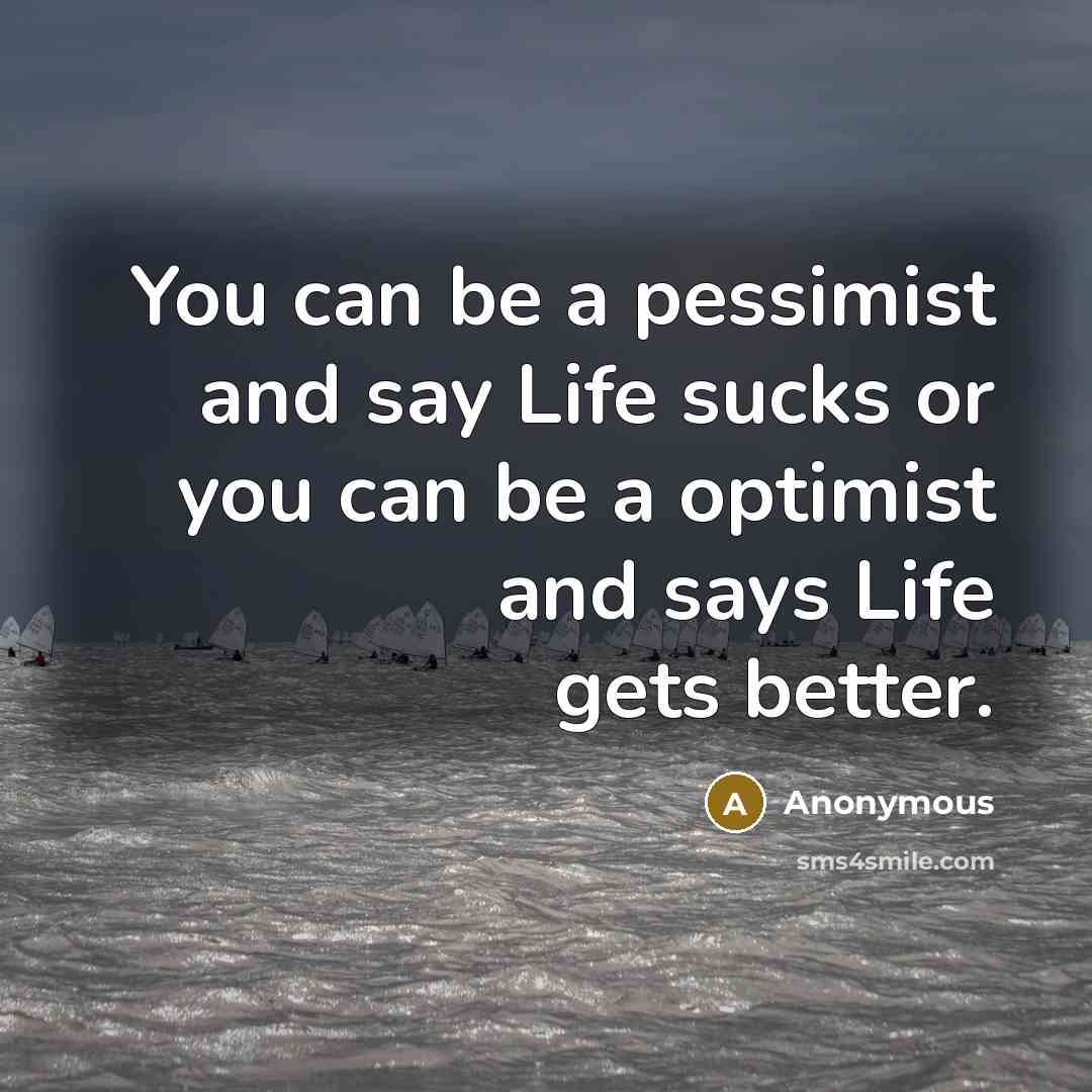 “You can be a pessimist and say Life sucks or…” quote by Anonymous