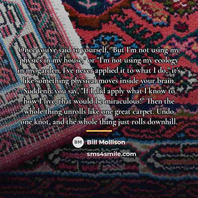 “Once you've said to yourself, "But I'm not using my…” quote by Bill Mollison