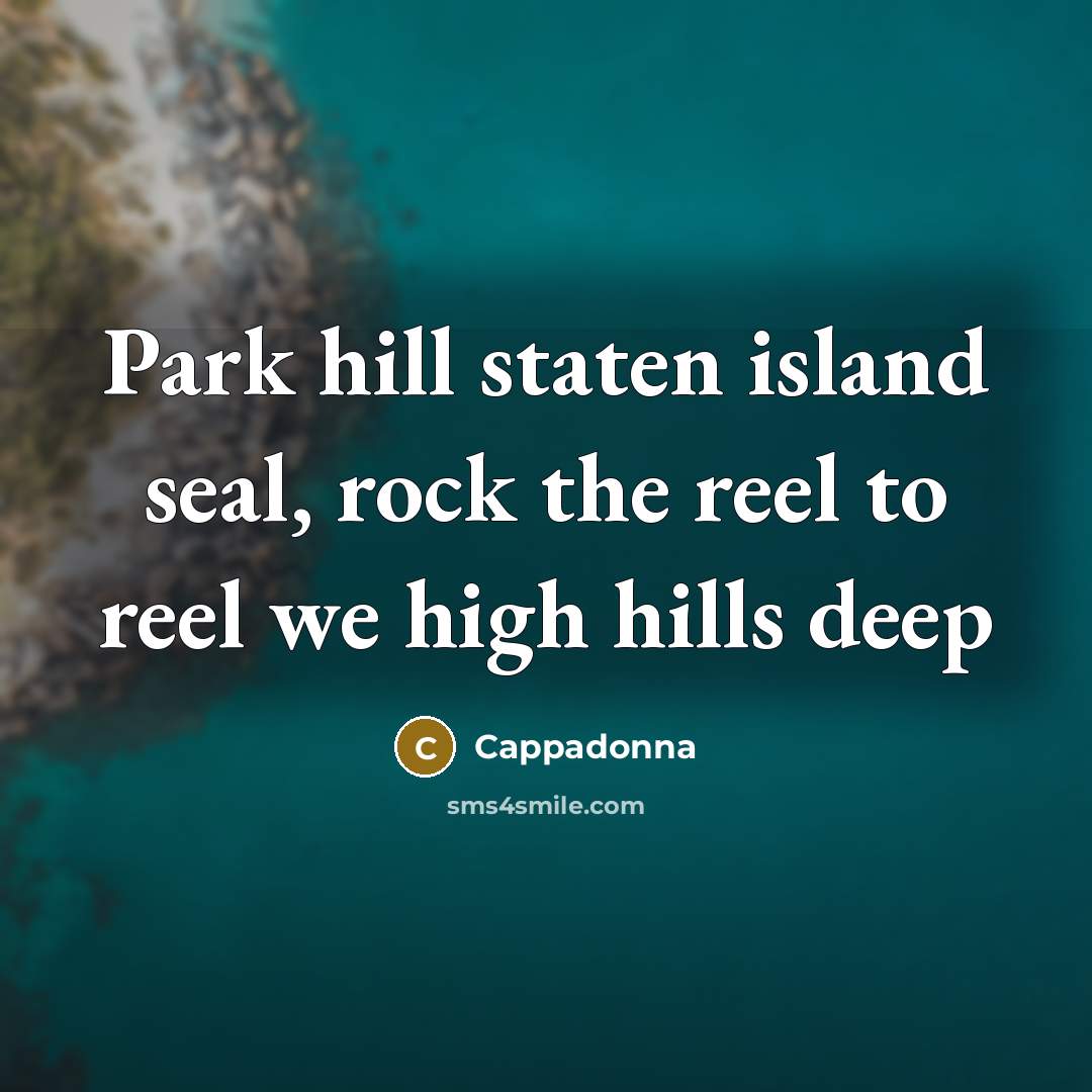 “Park hill staten island seal, rock the reel to reel…” quote by Cappadonna