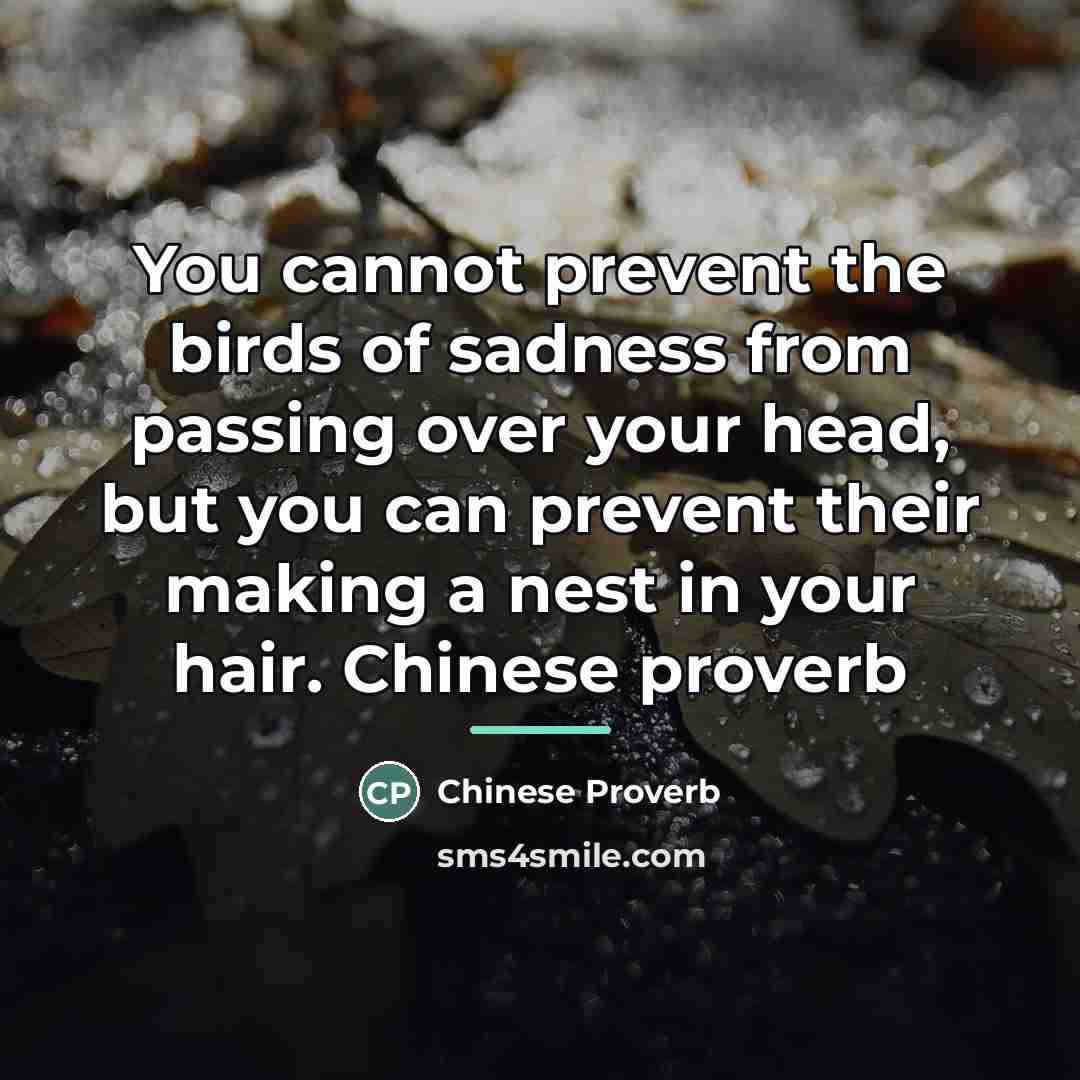 “You cannot prevent the birds of sadness from passing over…” quote by Chinese Proverb