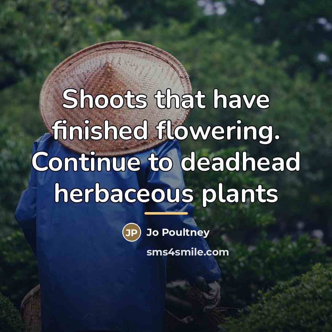 “Shoots that have finished flowering. Continue to deadhead herbaceous plants…” quote by Jo Poultney
