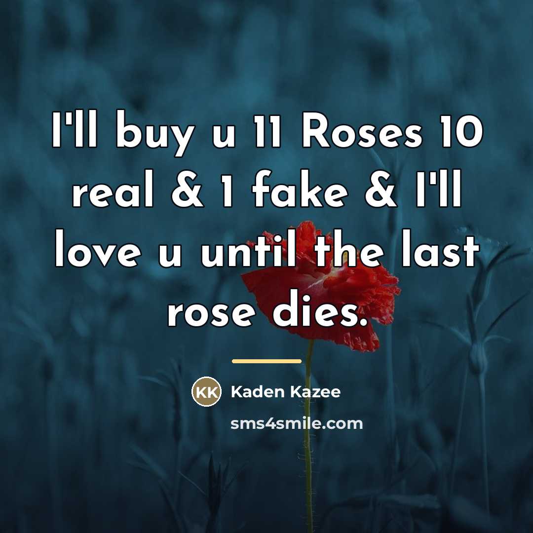 “I'll buy u 11 Roses 10 real & 1 fake…” quote by Kaden Kazee