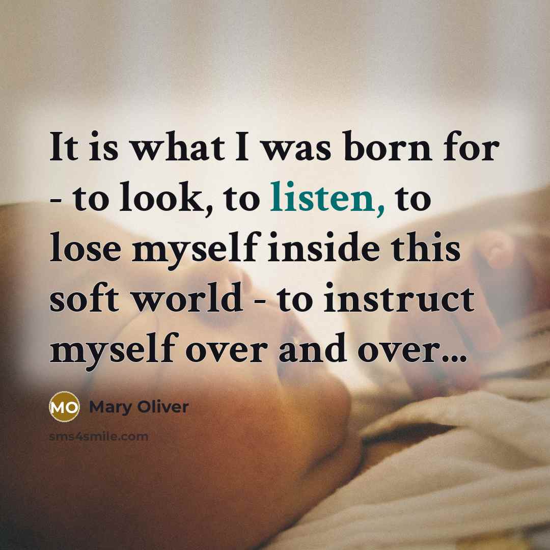 “It is what I was born for - to look,…” quote by Mary Oliver