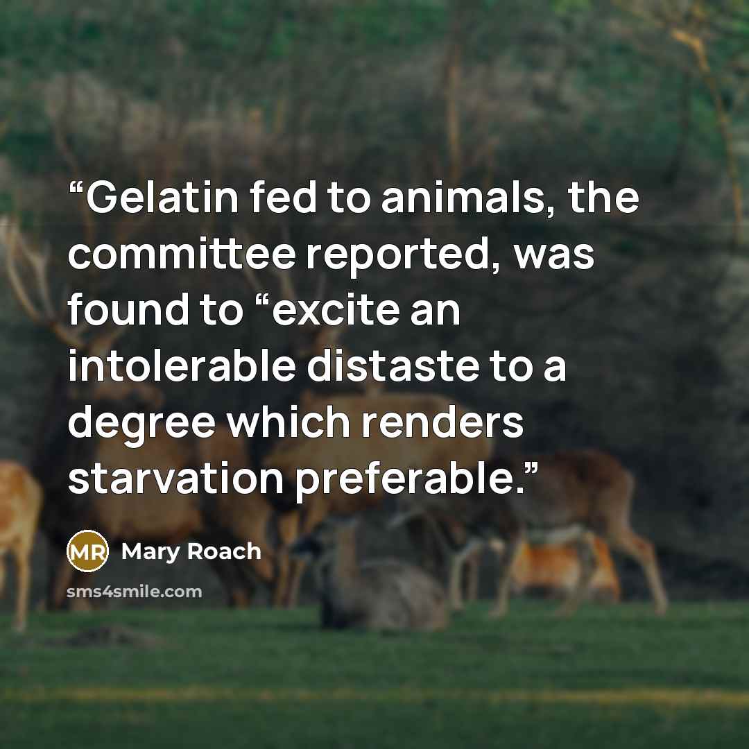 “Gelatin fed to animals, the committee reported, was found to “excite an intolerable distaste to a degree which renders starvation preferable.” quote by Mary Roach