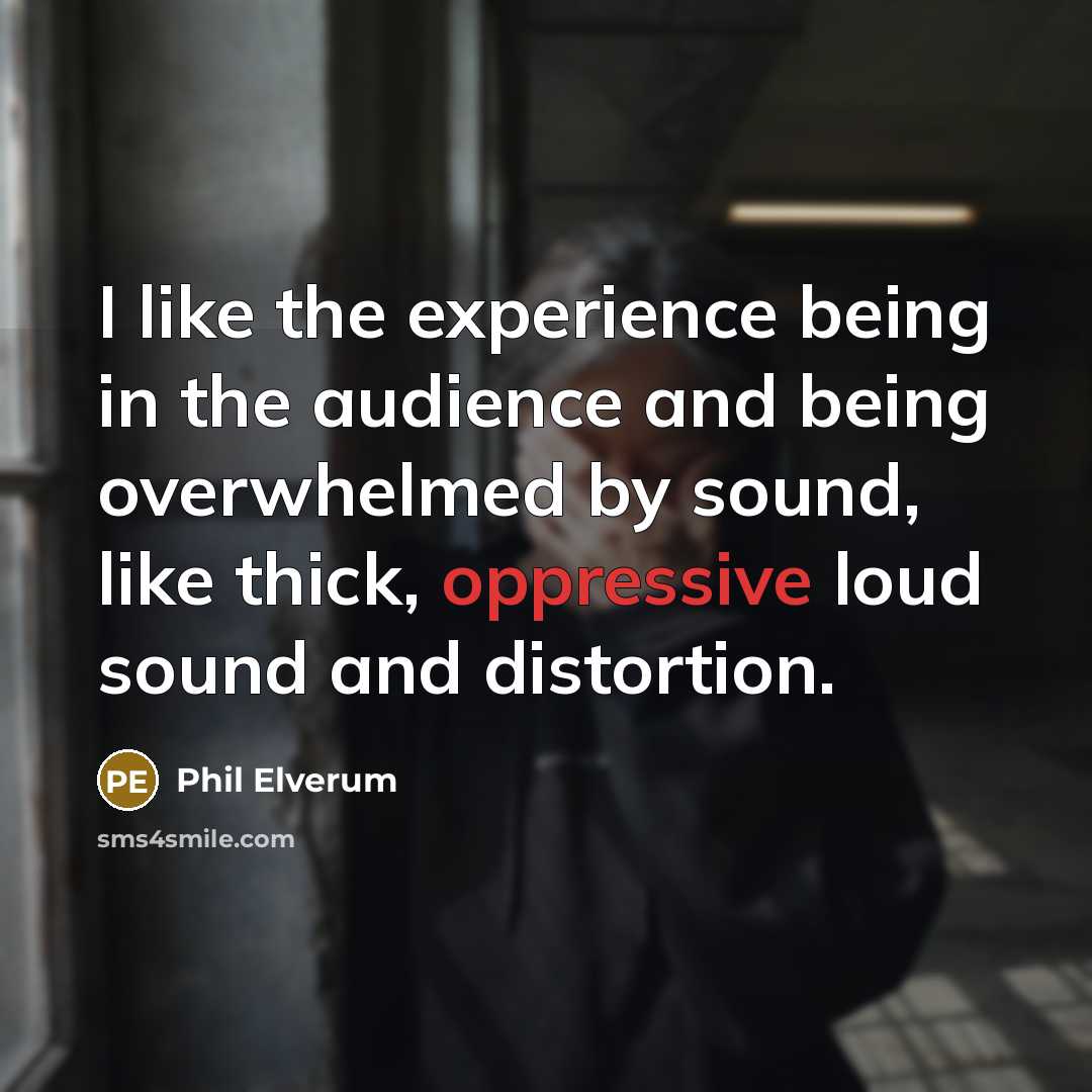 “I like the experience being in the audience and being…” quote by Phil Elverum