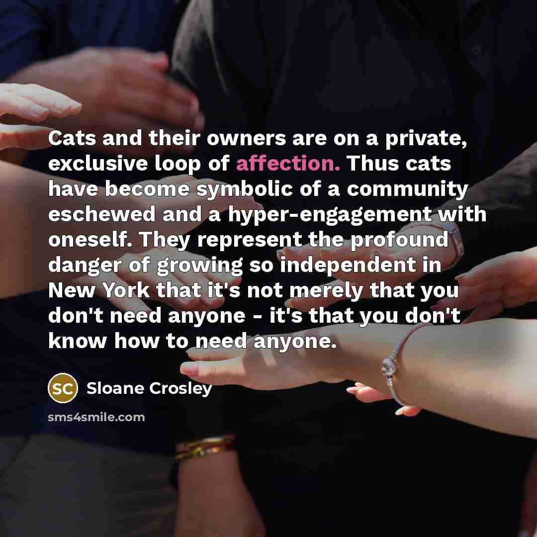 “Cats and their owners are on a private, exclusive loop…” quote by Sloane Crosley