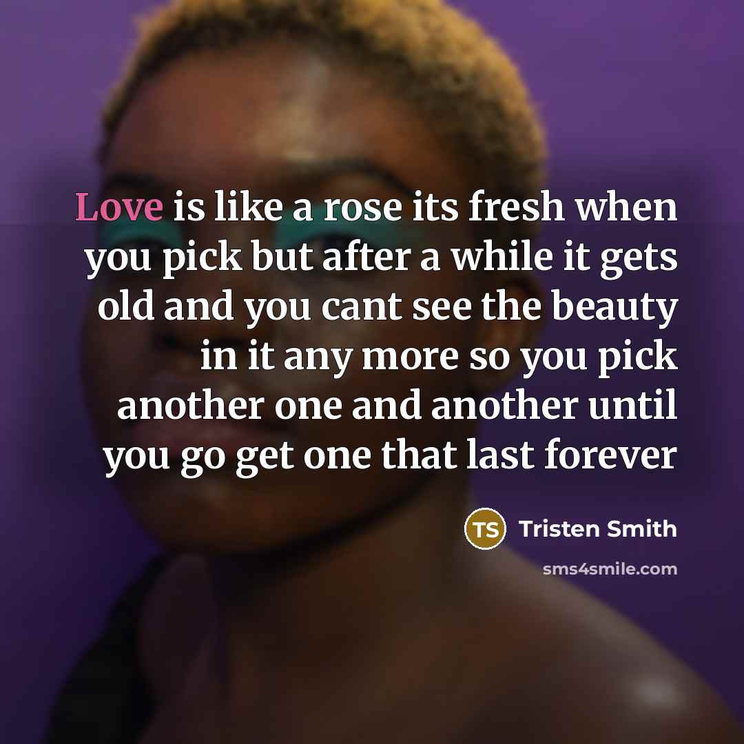 “Love is like a rose its fresh when you pick…” quote by Tristen Smith