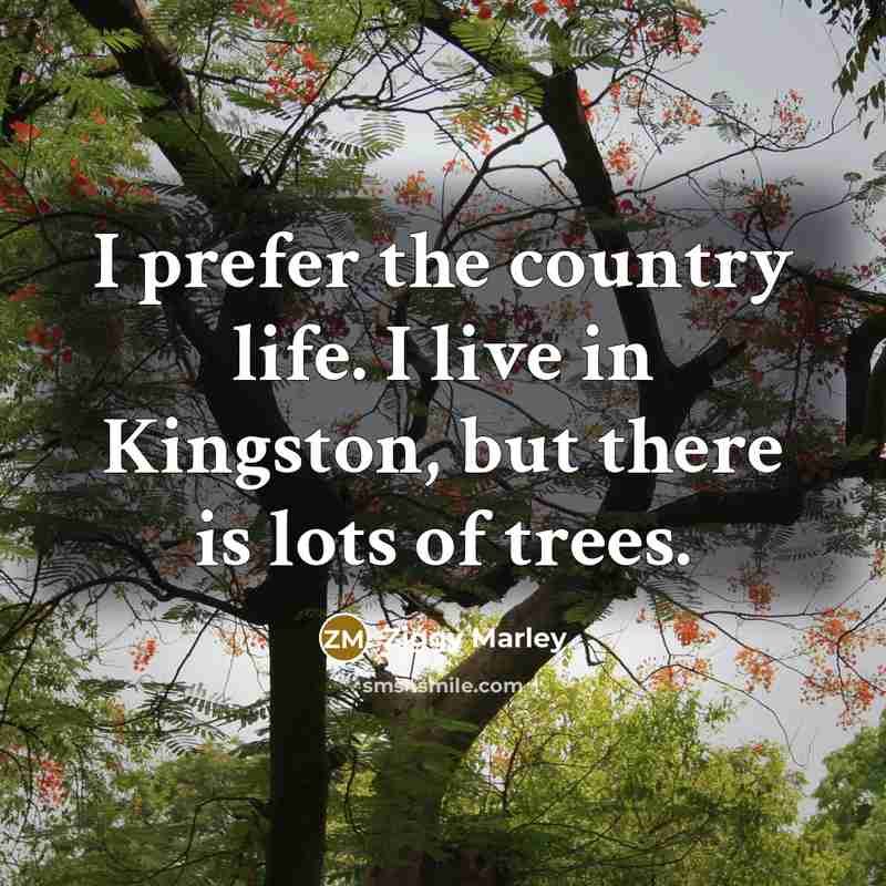 “I prefer the country life. I live in Kingston, but…” quote by Ziggy Marley