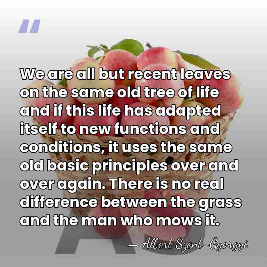 We are all but recent leaves on the same old tree of&hellip; - Albert Szent-Gyorgyi