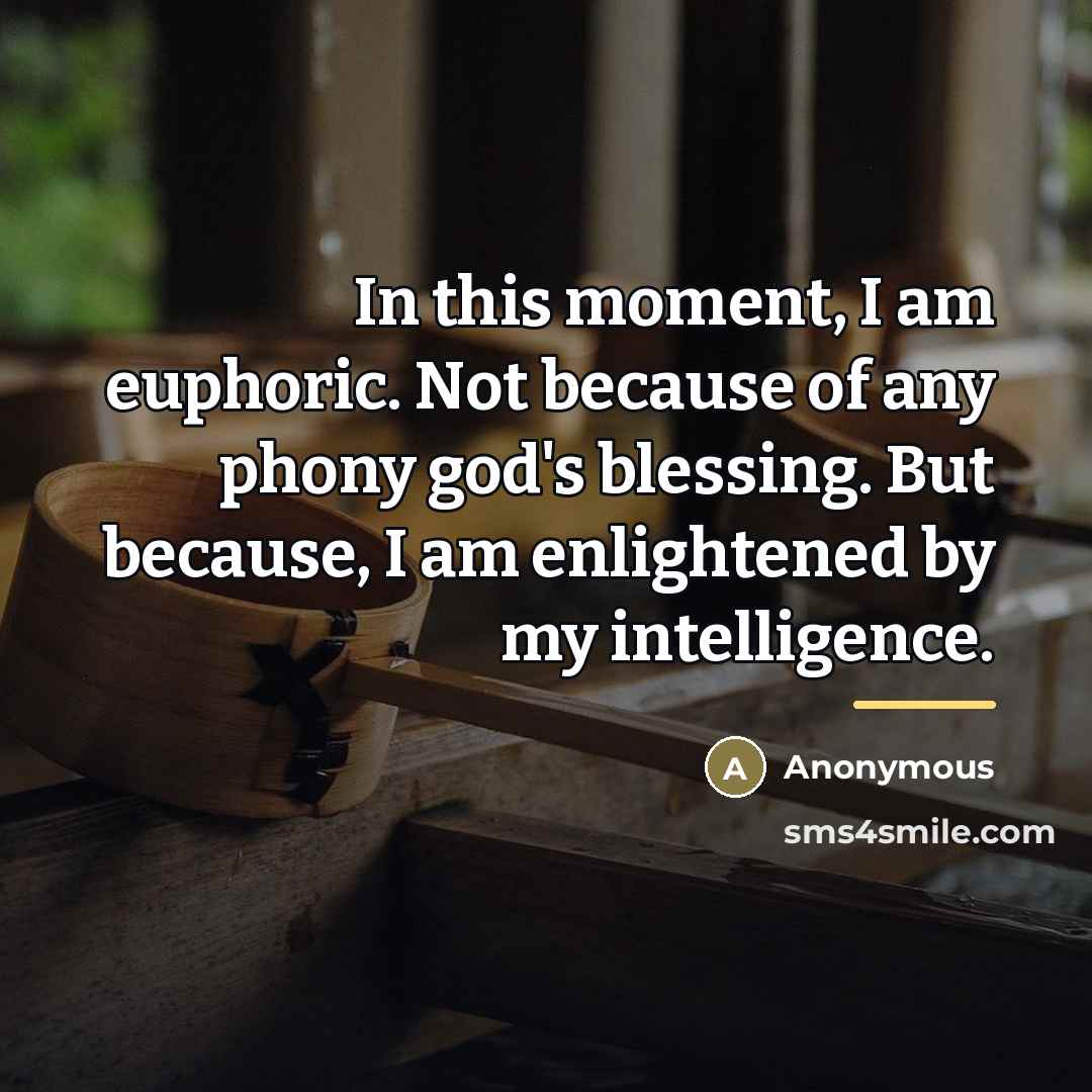 “In this moment, I am euphoric. Not because of any…” quote by Anonymous