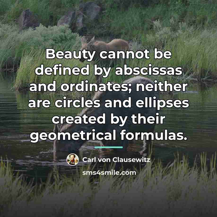 “Beauty cannot be defined by abscissas and ordinates; neither are…” quote by Carl von Clausewitz