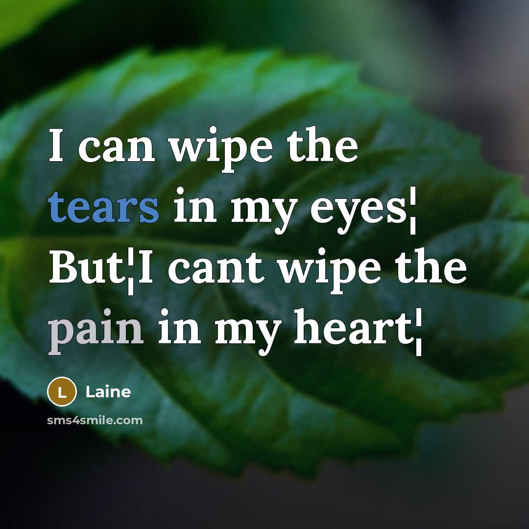 “I can wipe the tears in my eyes¦ But¦I cant wipe the pain in my heart¦” quote by Laine