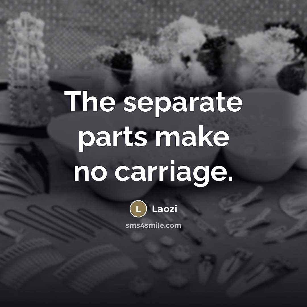 “The separate parts make no carriage.…” quote by Laozi