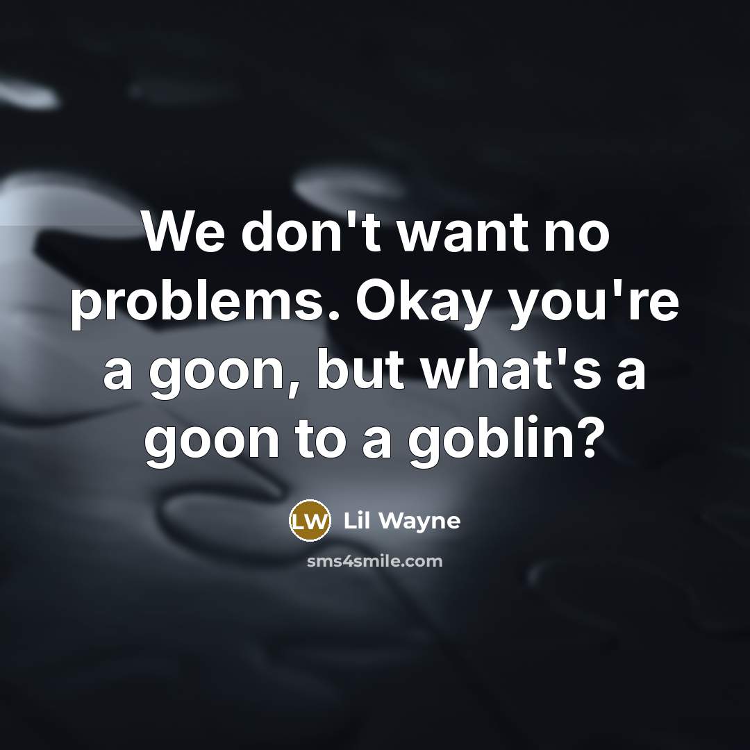 “We don't want no problems. Okay you're a goon, but…” quote by Lil Wayne