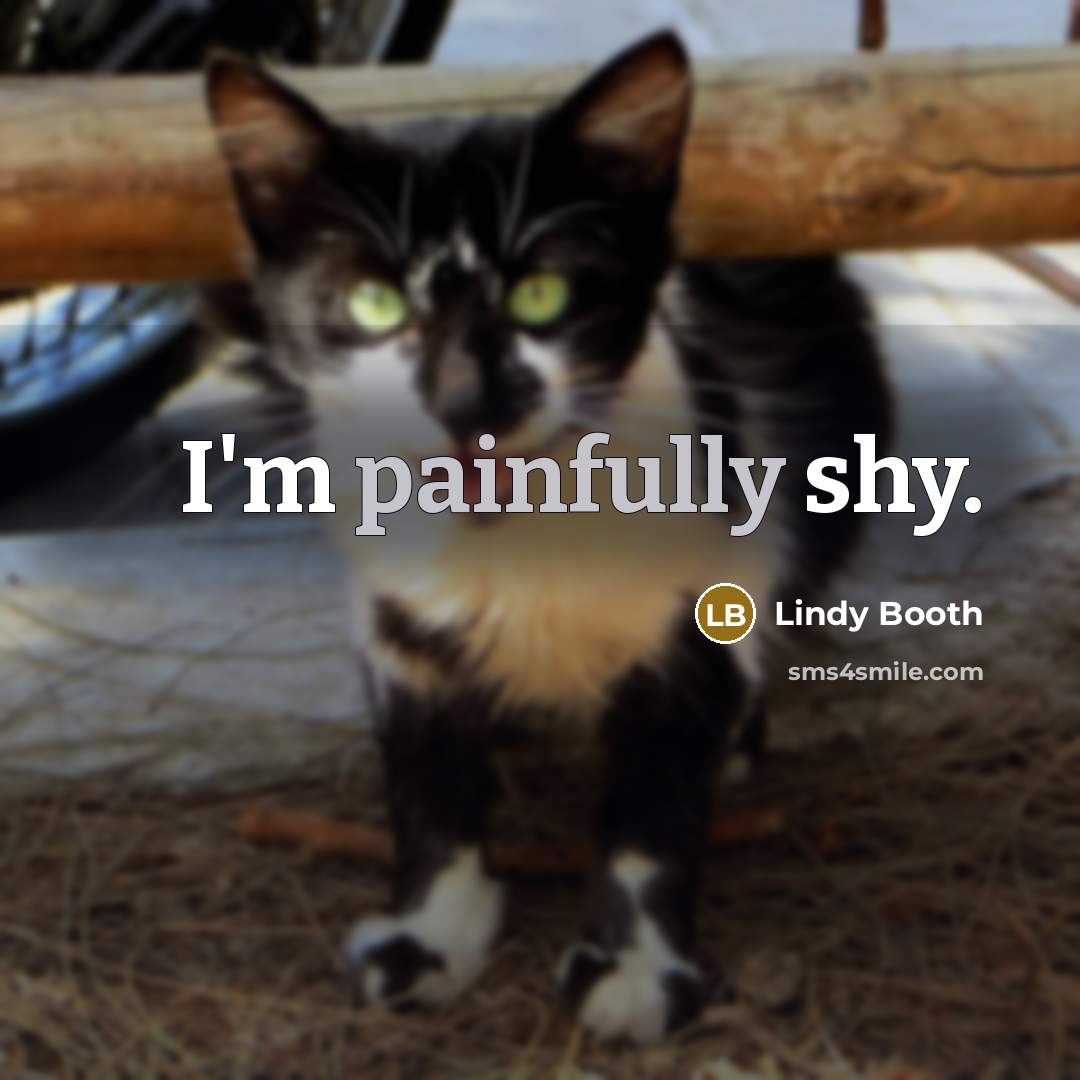 “I'm painfully shy.” quote by Lindy Booth