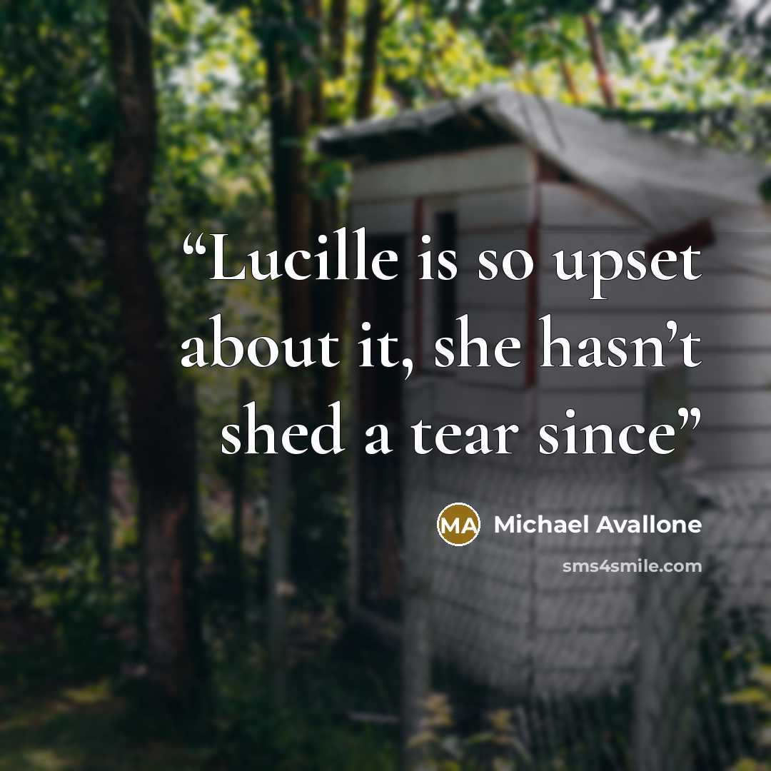 “Lucille is so upset about it, she hasn’t shed a tear since” quote by Michael Avallone