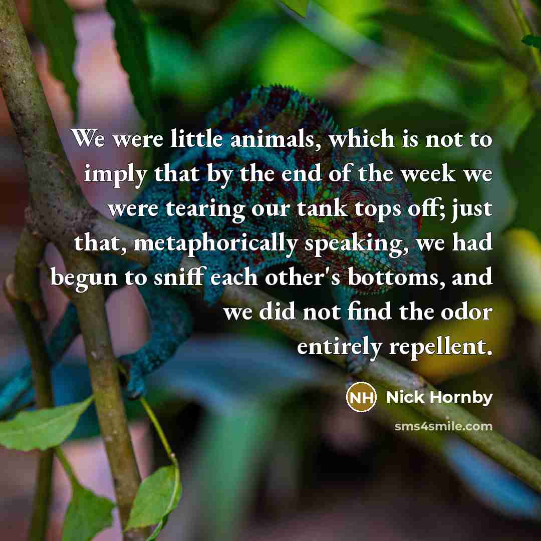 “We were little animals, which is not to imply that…” quote by Nick Hornby