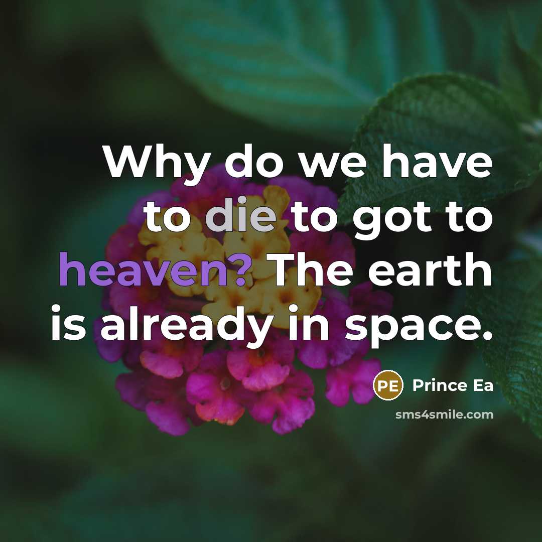 “Why do we have to die to got to heaven?…” quote by Prince Ea
