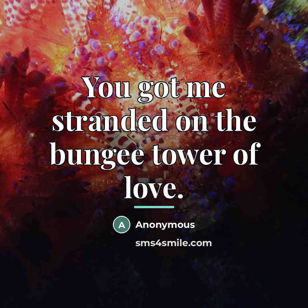 “You got me stranded on the bungee tower of love.…” quote by Anonymous