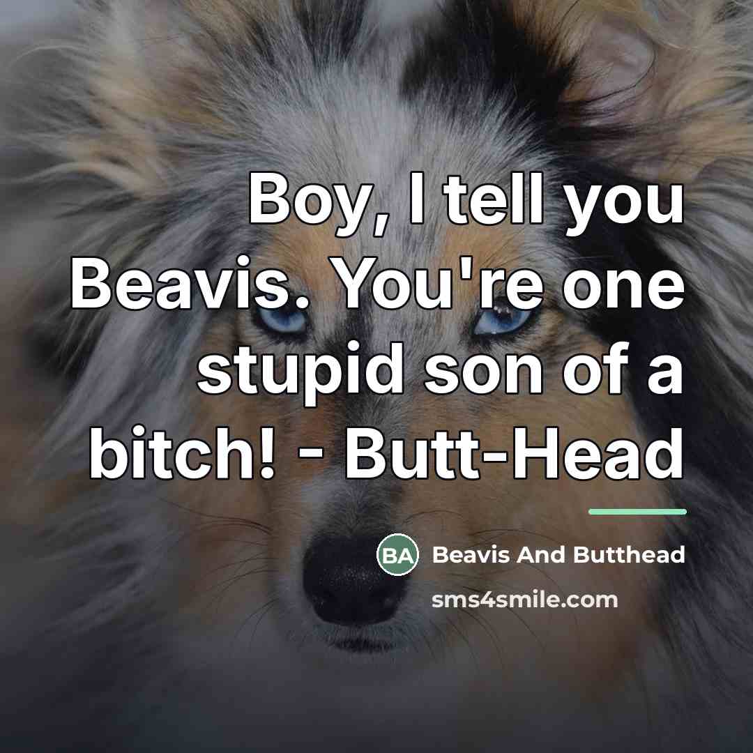 “Boy, I tell you Beavis. You're one stupid son of…” quote by Beavis And Butthead