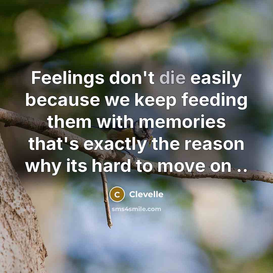 “Feelings don't die easily because we keep feeding them with…” quote by Clevelle