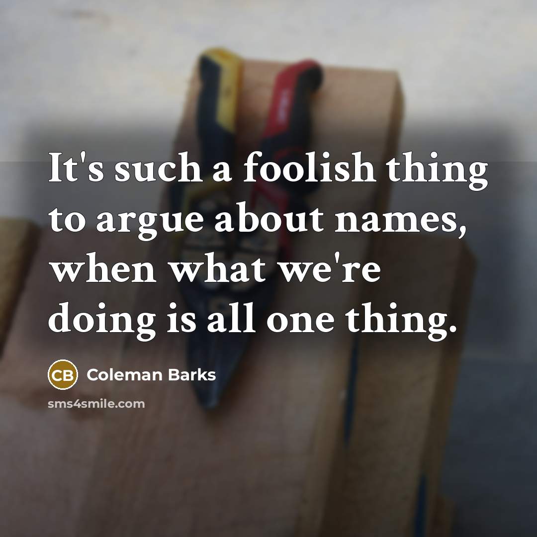 “It's such a foolish thing to argue about names, when…” quote by Coleman Barks
