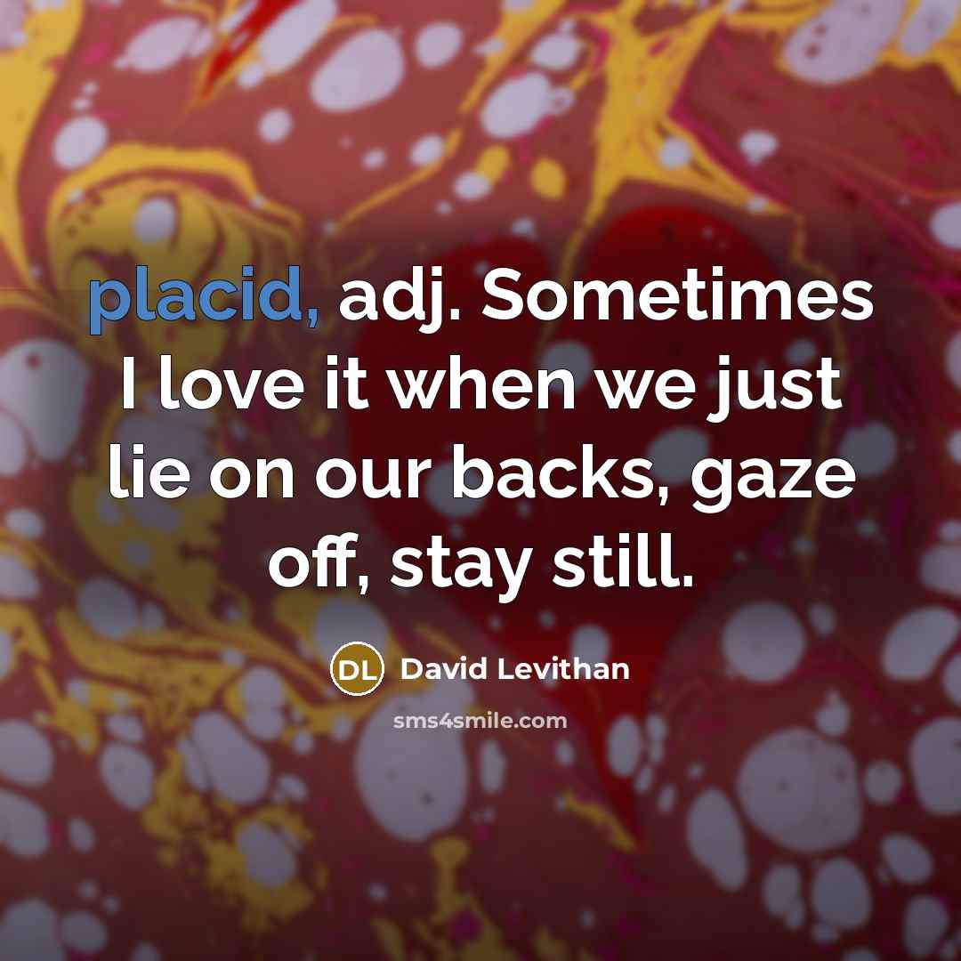“placid, adj. Sometimes I love it when we just lie…” quote by David Levithan