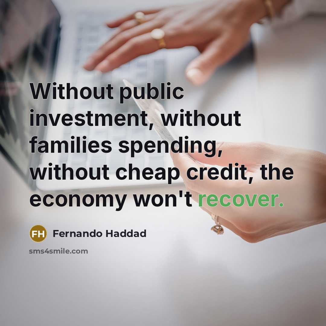 “Without public investment, without families spending, without cheap credit, the…” quote by Fernando Haddad