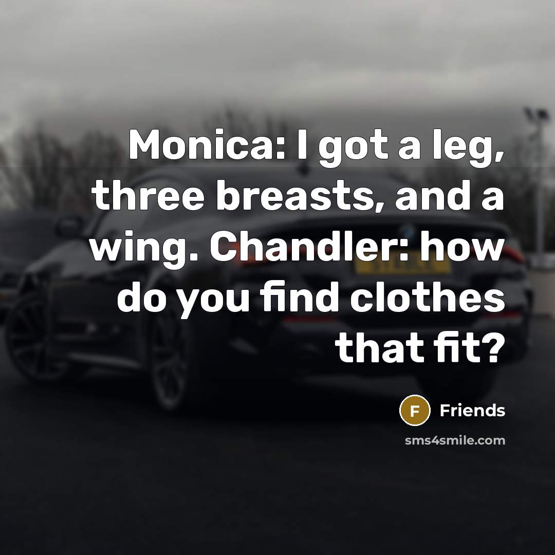 “Monica: I got a leg, three breasts, and a wing. Chandler: how do you find clothes that fit?” quote by Friends