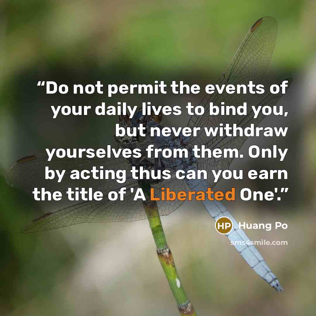 “Do not permit the events of your daily lives to bind you, but never withdraw yourselves from them. Only by acting thus can you earn the title of 'A Liberated One'.” quote by Huang Po