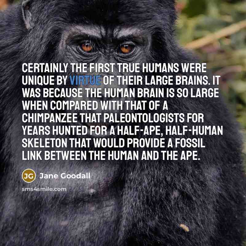 “Certainly the first true humans were unique by virtue of…” quote by Jane Goodall