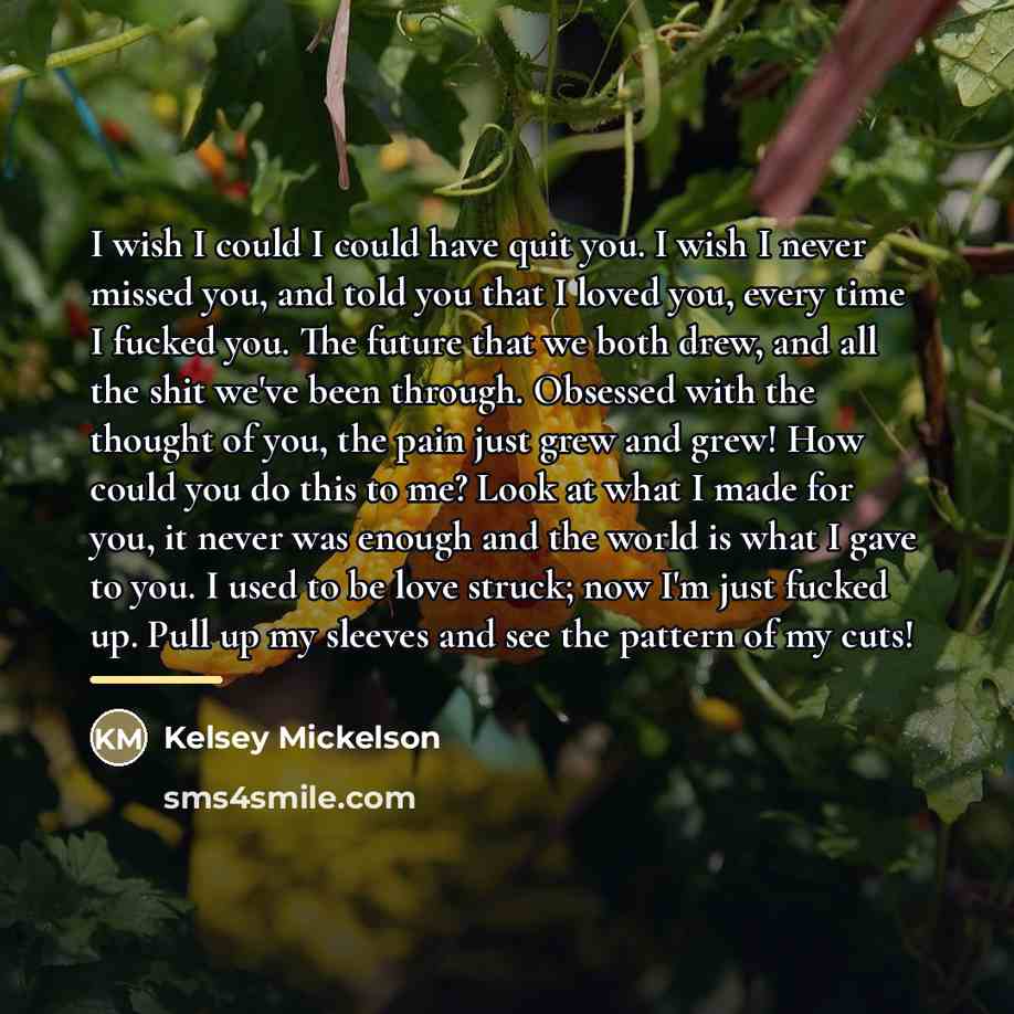 “I wish I could I could have quit you. I…” quote by Kelsey Mickelson