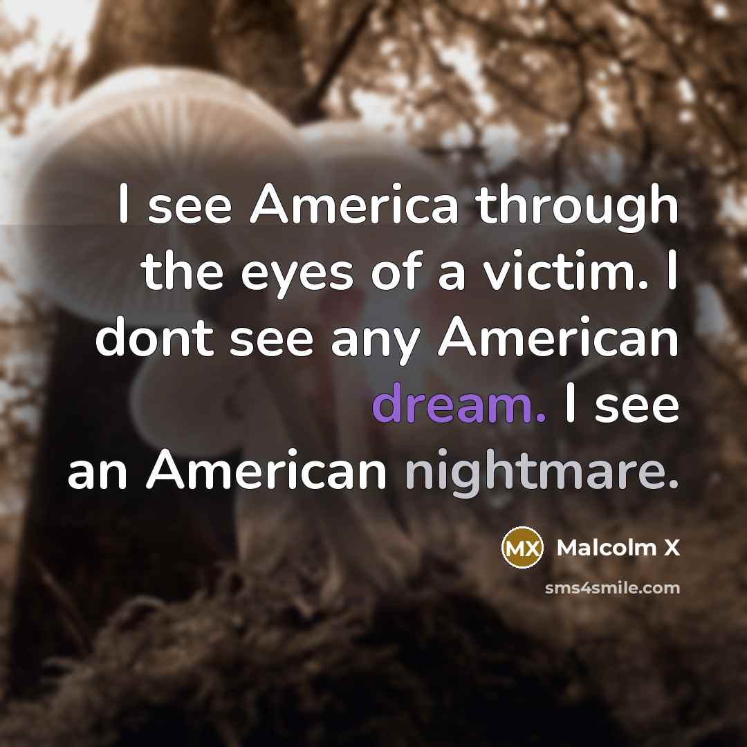 “I see America through the eyes of a victim. I…” quote by Malcolm X
