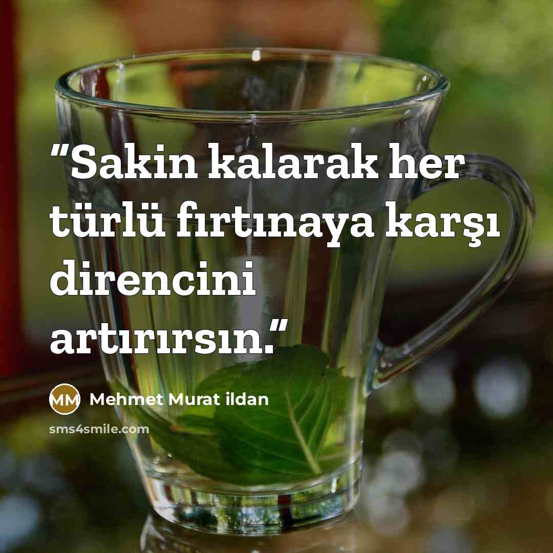 “Sakin kalarak her türlü fırtınaya karşı direncini artırırsın.” quote by Mehmet Murat ildan
