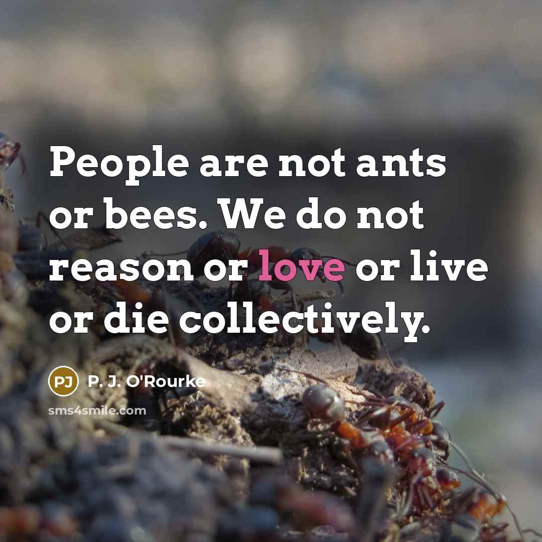 “People are not ants or bees. We do not reason…” quote by P. J. O'Rourke
